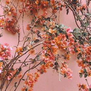 91精品国偷拍自产在
